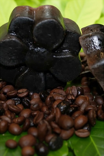jabon de cafe jabon de cafe